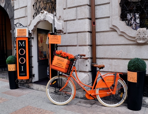 Immagine con bicicletta, fiori, arancione, arancio, insegna, vasi, negozio, cassetta