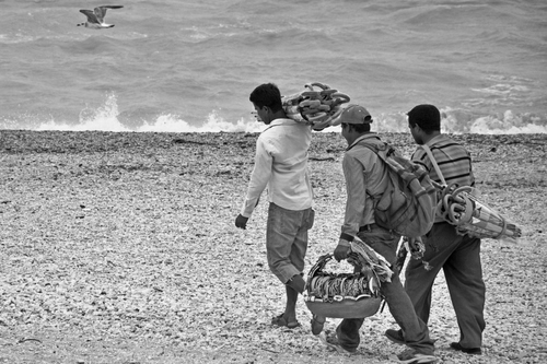 Immagine con mare, spiaggia, bianconero, venditori, gabbiano, tre, ambulanti, ombrelli, cesto