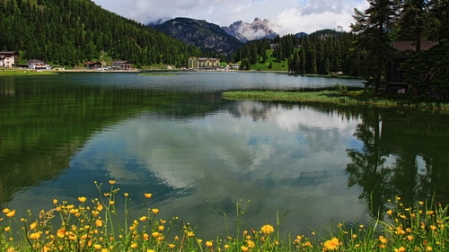 Immagine con lago, fiori, montagna, riflesso, alberi, acqua, giallo, gialli, montagne