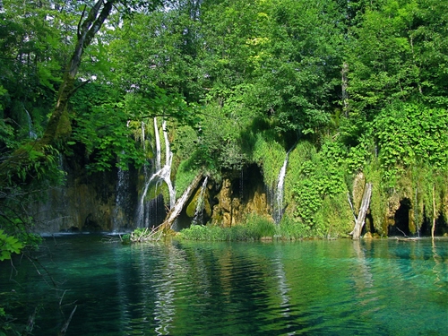 Immagine con verde, alberi, acqua, cascata, fiume, lago, riflesso, cascate