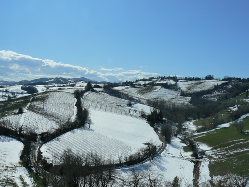 Immagine con neve, colline, inverno, panorama, cielo, alberi, paesaggio, vigneti, strade, nuvole