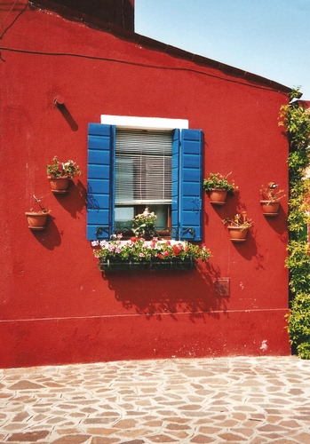 Immagine con finestra, vasi, fiori, rosso, azzurro, blu, persiane, casa