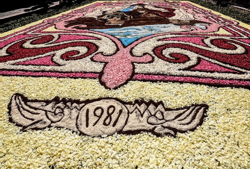 Immagine con data, infiorata, petali, colori, numeri, fiori, bianco, disegno, rosa, numero