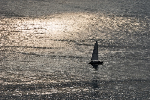 Immagine con barca, vela, mare, acqua, onde, riflesso, controluce, riflessi, bianconero, luce