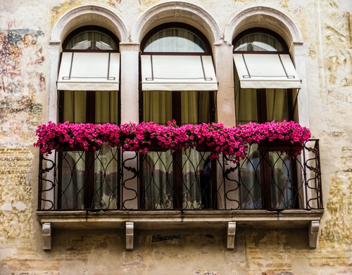Immagine con fiori, archi, balcone, tende, finestre, rosa, tre, piante