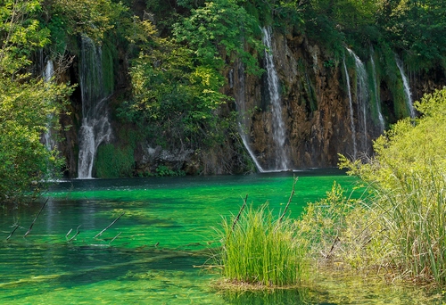 Immagine con acqua, verde, cascate, fiume, cascata, foglie, alberi, erba, natura, lago, rami, piante