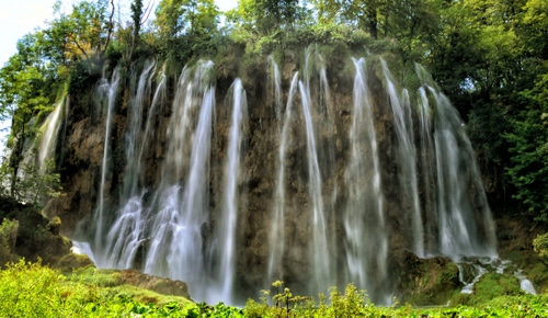 Immagine con acqua, cascata, alberi, verde, roccia, natura, zampilli, fiume, erba, foglie, vegetazione, piante, cascate, bosco