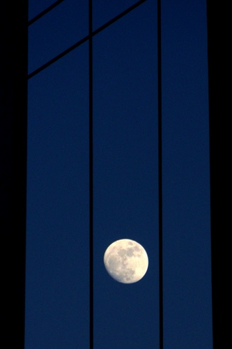 Immagine con luna, blu, finestra, cielo, notte, inferriata, sbarre, bianco