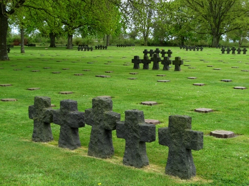 Immagine con alberi, croci, cimitero, erba, verde, prato, lapidi, tombe, cinque, rami