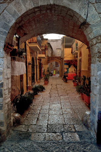 Immagine con arco, vicolo, piante, strada, balconi, vasi, pietre, archi, fiori