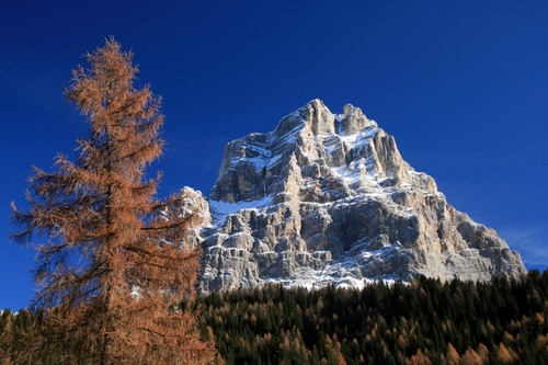 Immagine con neve, montagna, albero, cielo, cima, bosco, inverno, roccia, alberi
