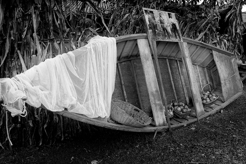 Immagine con barca, bianconero, frutta, cesti, bianco, vela, cesta, rete, fotografia, foglie, mele, cesto, piante, abbandono