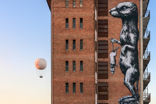 Immagine con finestre, mongolfiera, murales, palazzo, topo, balconi, pallone, murale