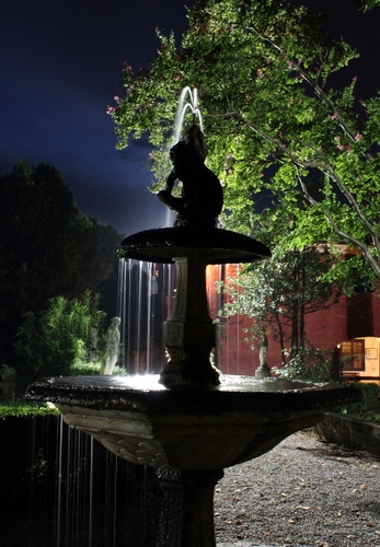 Immagine con fontana, acqua, notte, alberi, notturno, zampilli, albero, verde, cielo, statua, luci, luce
