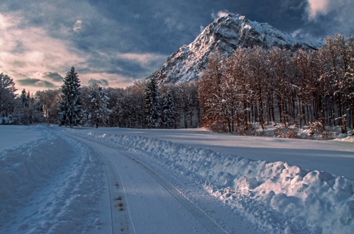Immagine con neve, strada, alberi, inverno, montagna, paesaggio