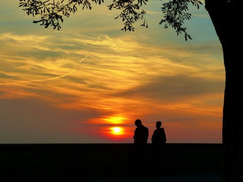 Immagine con tramonto, controluce, due, persone, sole, albero, nuvole, silhouette, foglie