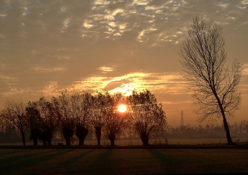 Immagine con alberi, tramonto, nuvole, sole, cielo, paesaggio, pianura