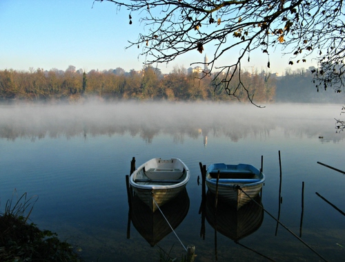 Immagine con nebbia, barche, lago, acqua, barca, fiume, riflessi, natura, rami, alberi
