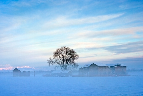 Immagine con albero, neve, nuvole, cielo, nebbia, inverno, case, foschia, paesaggio, panorama, bianco, azzurro, rami