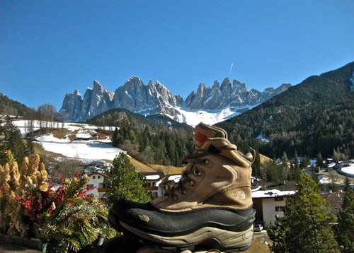 Immagine con neve, scarpone, alberi, montagna, montagne, scarpa, panorama, fiori