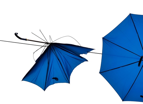 Immagine con blu, ombrelli, manico, rotto, bianco, filo, due, aperto, appesi, tessuto, nero, azzurro, stecche