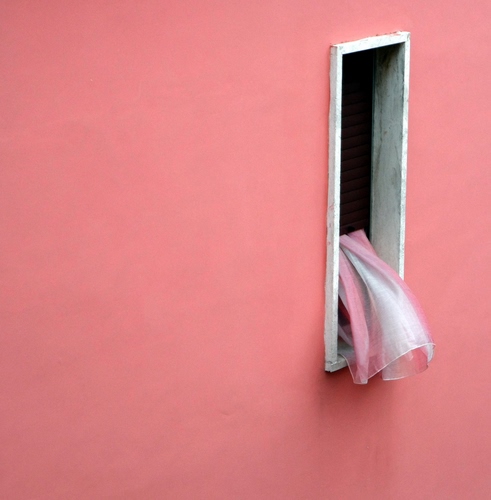 Immagine con finestra, rosa, tenda, muro, parete, palazzo, cornice