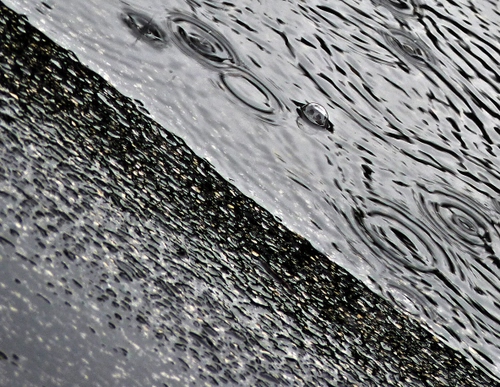 Immagine con acqua, pioggia, gocce, cerchi, bolle, bianconero, astratto, diagonale