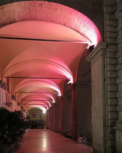 Immagine con archi, rosa, piante, portico, portici, pilastri, luce, persone, luci