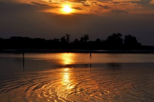 Immagine con tramonto, nuvole, acqua, alberi, sole, riflesso, controluce, mare, pali, lago, cielo, riflessi, silhouette, onde, cerchi