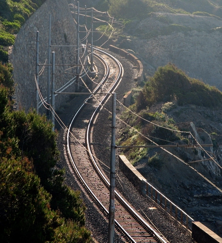 Immagine con curve, pali, binari, ferrovia, fili, rotaie, verde, alberi