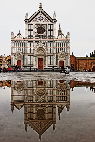 Immagine con riflesso, chiesa, pozzanghera, piccione, acqua, colombo, uccello, duomo, rosone, piazza