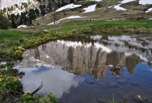 Immagine con lago, riflesso, neve, montagna, montagne, alberi, fiori, acqua, verde