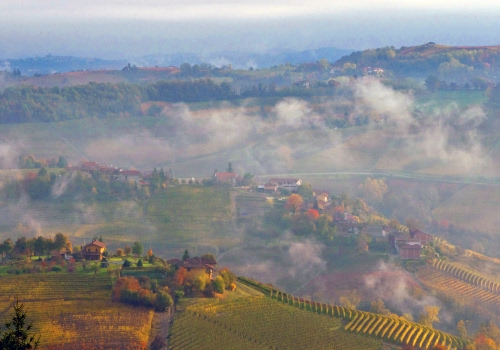 Immagine con paesaggio, nebbia, nuvole, colline, panorama, case, campi, campagna, vigneti, alberi, autunno