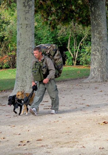Immagine con cani, alberi, uomo, zaino, zaini, animali, verde, guinzaglio, due, tronchi