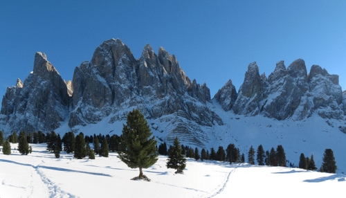 Immagine con neve, alberi, inverno, montagne, montagna, panorama, bianco, cime, cielo