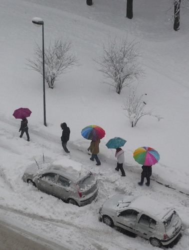 Immagine con neve, ombrelli, lampione, automobili, inverno, bianco, persone, strada, auto, alberi, colori, passanti, tronchi, pedoni, macchine, due