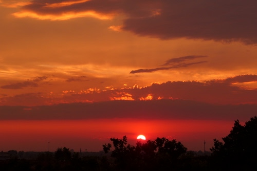 Immagine con rosso, nuvole, tramonto, sole, cielo, controluce, alberi, silhouette, arancione, nero