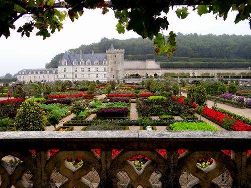 Immagine con castello, fiori, giardino, foglie, aiuole, alberi, verde, rosso, torre, piante, affaccio, villa, giardini, colori