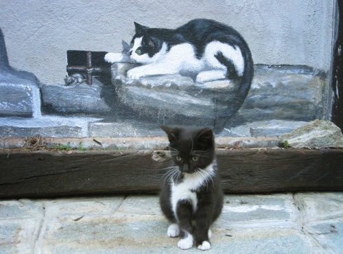 Immagine con gatto, nero, bianco, murales, dipinto, gattino, baffi, micio, gatti, topo, muro