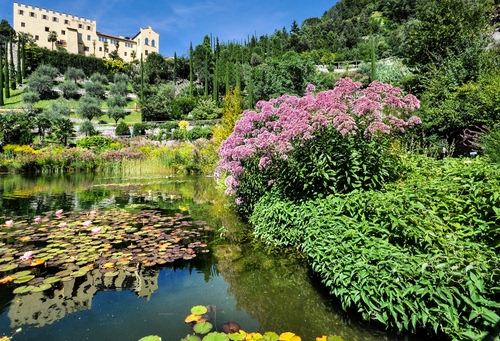 Immagine con fiori, piante, verde, giardino, acqua, alberi, castello, cielo, laghetto, palazzo, ninfee, foglie, riflessi, lago, colori, riflesso