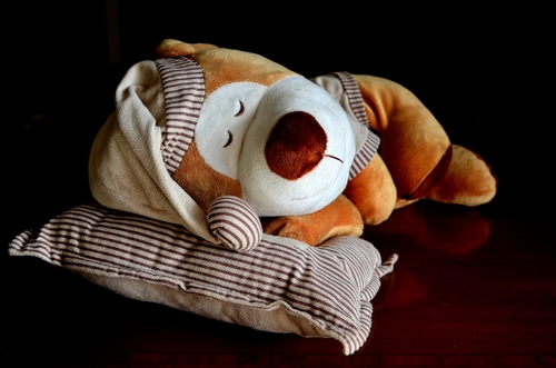 Immagine con cuscino, peluche, giocattolo, cane, pupazzo, righe, dormire, orsetto, orso, marrone