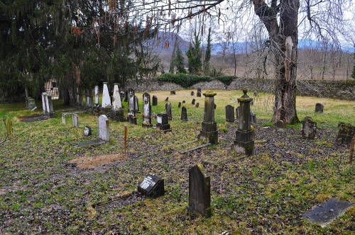 Immagine con cimitero, lapidi, alberi, tombe, verde, prato, erba, rami, muro