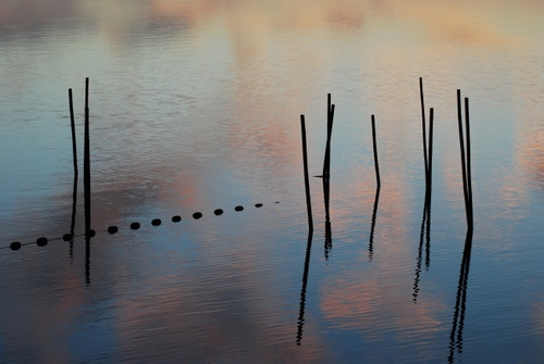 Immagine con acqua, pali, riflesso, lago, nuvole, cielo, riflessi, tramonto, colori