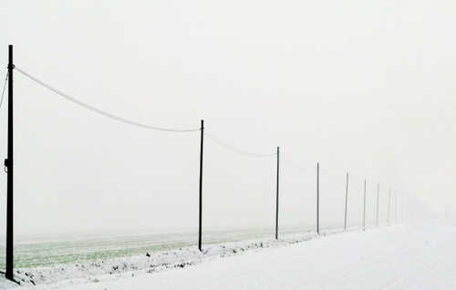 Immagine con pali, neve, bianco, nebbia, fili, strada, cavo, inverno, elettricità, foschia