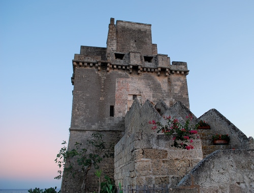 Immagine con torre, fiori, cielo, scala, scale, castello, albero, maniero