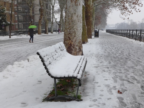 Immagine con neve, panchina, ombrello, alberi, bianco, passante, inverno, strada, verde, viale