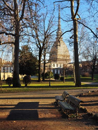 Immagine con panchine, mole, alberi, parco, torino, cupola, ombra, prato, antonelliana