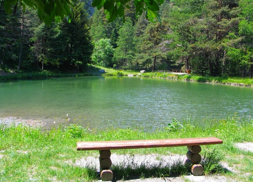 Immagine con panchina, verde, acqua, lago, alberi, montagna, foglie
