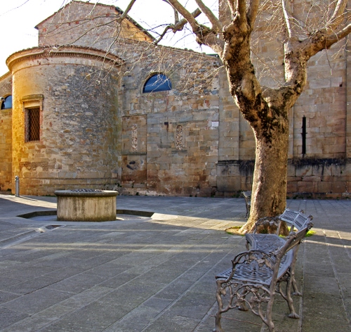 Immagine con pozzo, panchina, albero, piazza, chiesa, rami, tronco, finestre, finestra