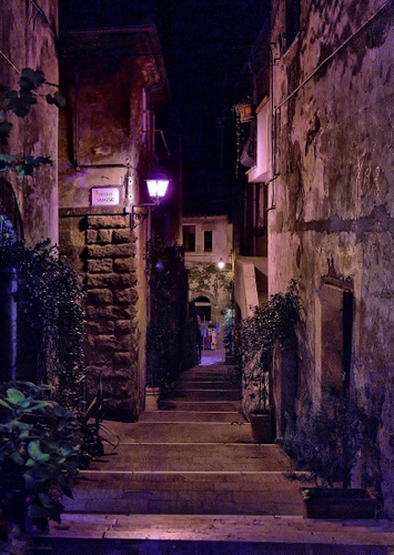 Immagine con piante, notte, vicolo, lampione, notturno, lampioni, scorcio, case, targa, via, strada, porte, finestre, borgo, vasi, verde, foglie, luci, gradini, scalini, muri, scalinata